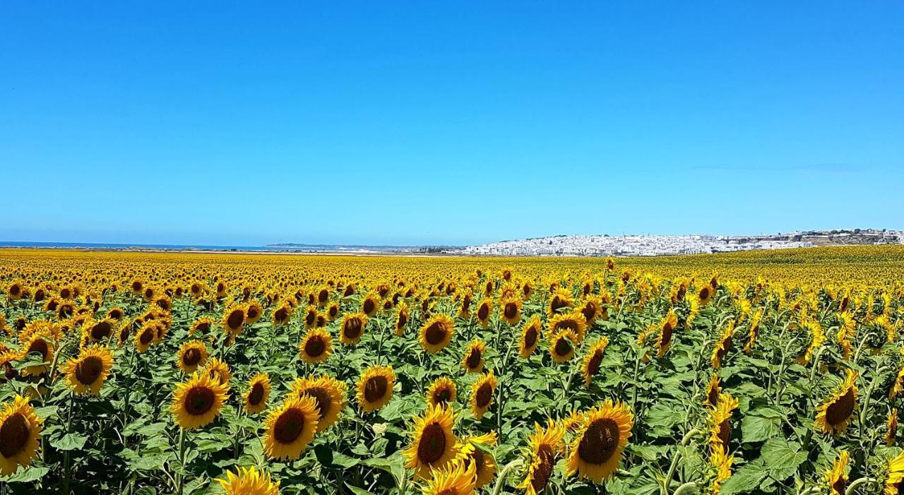 Apartamentos El Arrecife โกนิล เด ลาฟรอนเตรา ภายนอก รูปภาพ