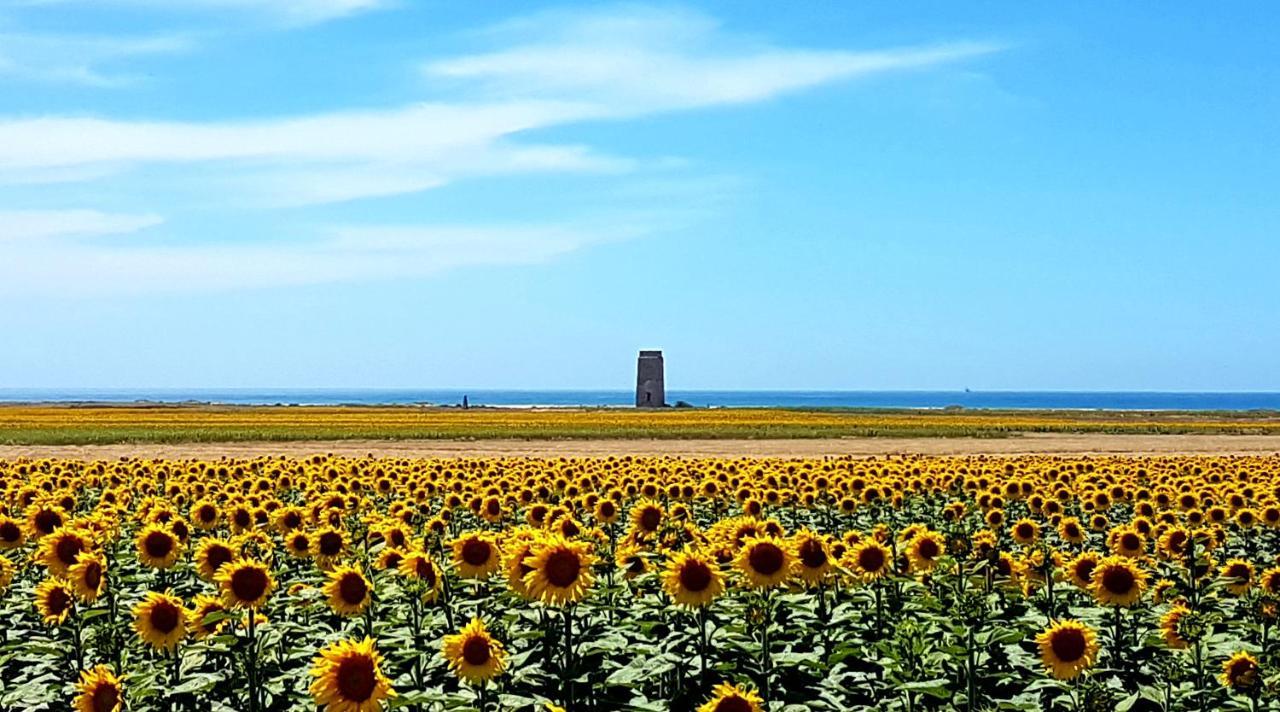 Apartamentos El Arrecife โกนิล เด ลาฟรอนเตรา ภายนอก รูปภาพ