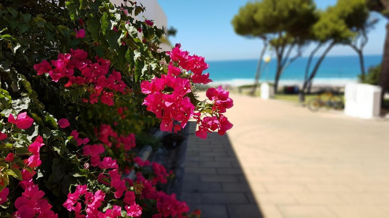 Apartamentos El Arrecife โกนิล เด ลาฟรอนเตรา ภายนอก รูปภาพ